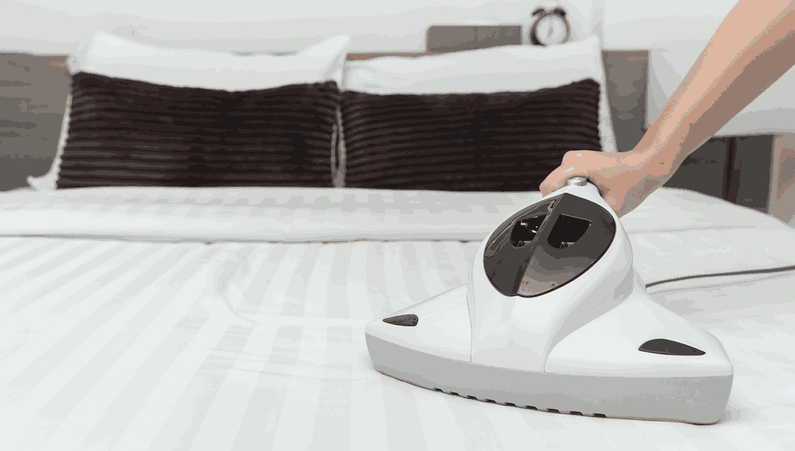 Professional Mattress Cleaning Nutfield